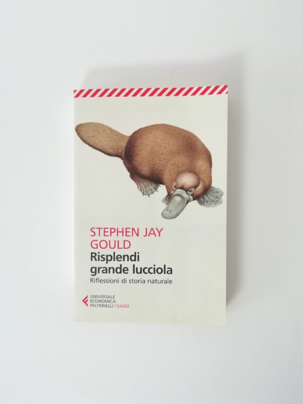 Stephen Jay Gould - Risplendi grande lucciola. Riflessioni di storia naturale.