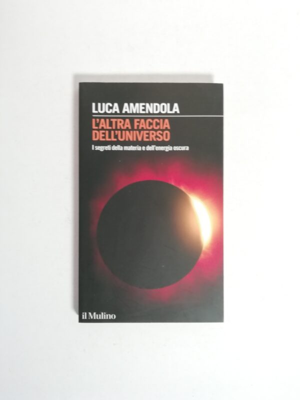 Luca Amendola - L'altra faccia dell'universo. I segreti della materia e dell'energia oscura.