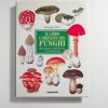 Giuseppe Pace - Il libro completo dei funghi