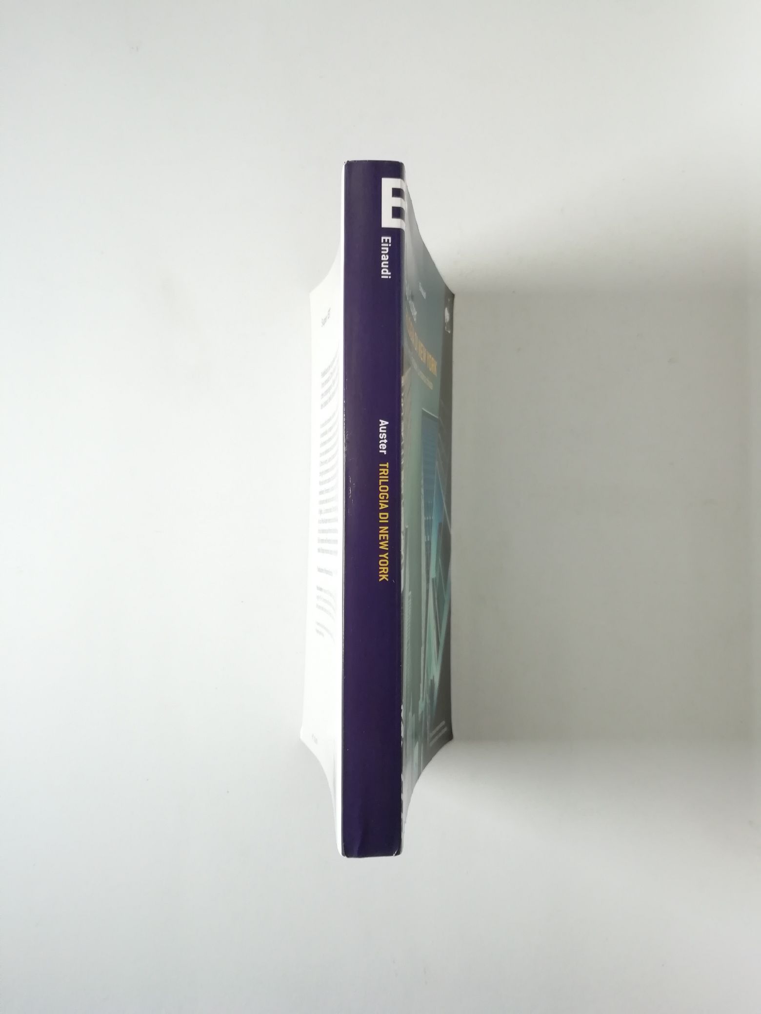 Paul Auster - Trilogia di New York - Semi d'inchiostro