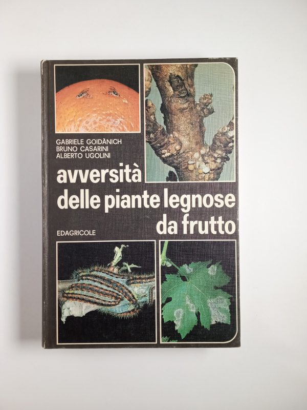 AA. VV. - Avversità delle piante legnose da frutto - Edagricole 1977