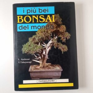 L. Ambrosi, Y. Takayanagi - I più bei bonsai del mondo - Fratelli Melita 1992